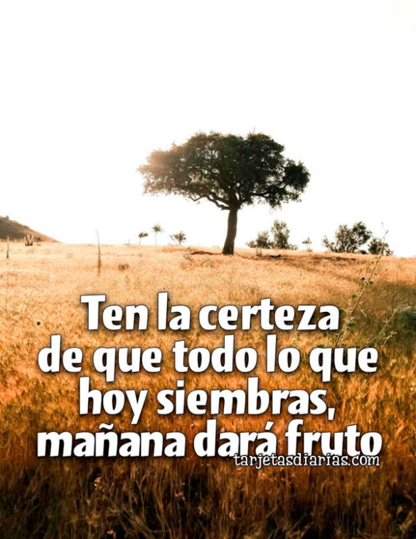 TEN LA CERTEZA DE QUE TODO LO QUE HOY SIEMBRAS, MAÑANA DARÁ FRUTO