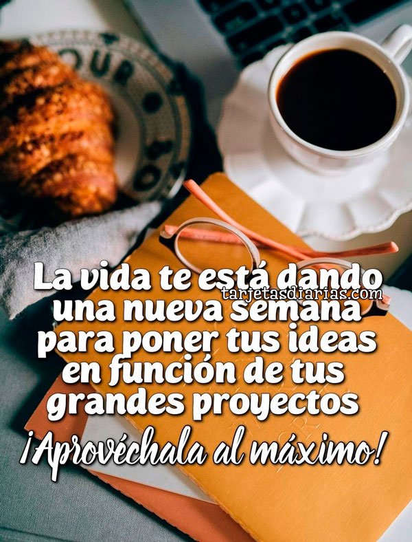 LA VIDA TE ESTÁ DANDO UNA NUEVA SEMANA PARA PONER TUS IDEAS EN FUNCIÓN ...
