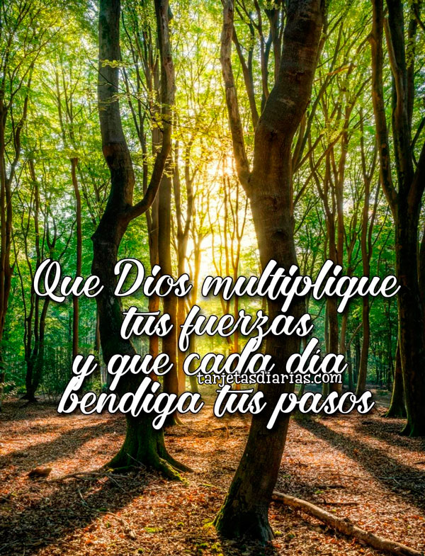 QUE DIOS MULTIPLIQUE TUS FUERZAS Y QUE CADA DÍA BENDIGA TUS PASOS ...