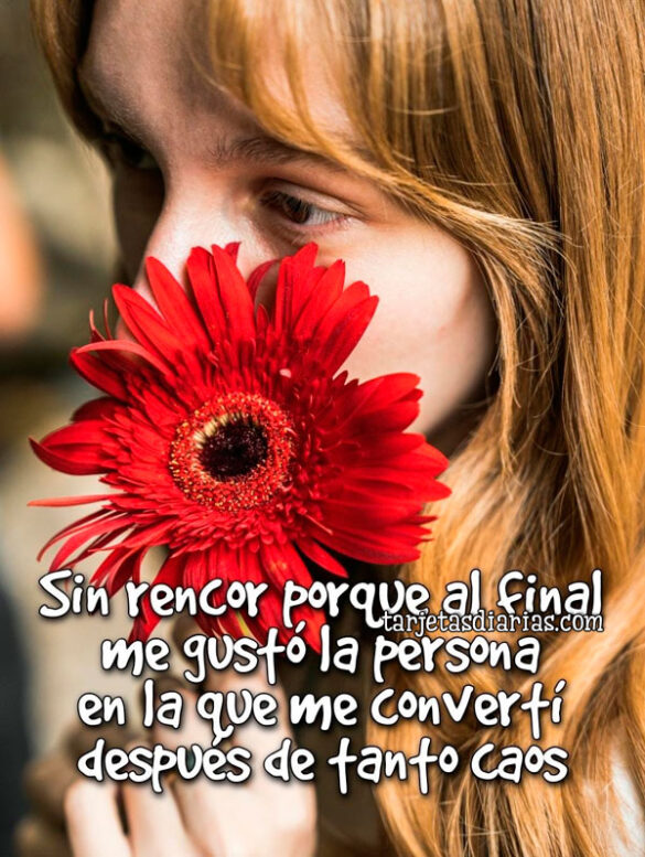 SIN RENCOR PORQUE AL FINAL ME GUSTÓ LA PERSONA EN LA QUE ME CONVERTÍ DESPUÉS DE TANTO CAOS