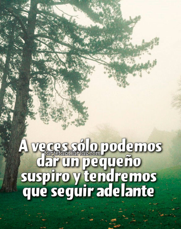 A VECES SÓLO PODEMOS DAR UN PEQUEÑO SUSPIRO Y TENDREMOS QUE SEGUIR ADELANTE