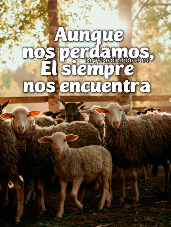 AUNQUE NOS PERDAMOS, ÉL SIEMPRE NOS ENCUENTRA