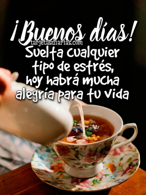 ¡BUENOS DÍAS! SUELTA CUALQUIER TIPO DE ESTRÉS, HOY HABRÁ MUCHA ALEGRÍA PARA TU VIDA