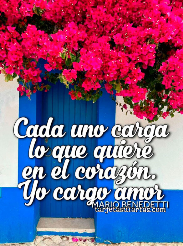 CADA UNO CARGA LO QUE QUIERE EN EL CORAZÓN. YO CARGO AMOR