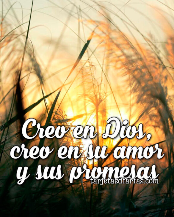 CREO EN DIOS, CREO EN SU AMOR Y SUS PROMESAS