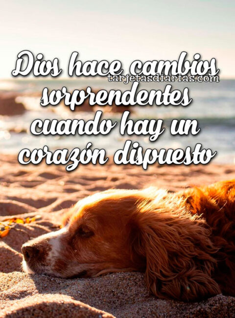 HABLA CON DIOS PARA QUE TU CORAZÓN FLOREZCA Y SE LLENE DE PAZ ...
