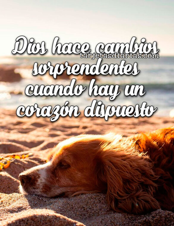 DIOS HACE CAMBIOS SORPRENDENTES CUANDO HAY UN CORAZÓN DISPUESTO