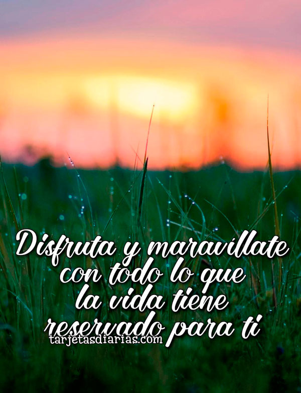 DISFRUTA Y MARAVÍLLATE CON TODO LO QUE LA VIDA TIENE RESERVADO PARA TI ...