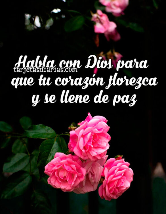 HABLA CON DIOS PARA QUE TU CORAZÓN FLOREZCA Y SE LLENE DE PAZ