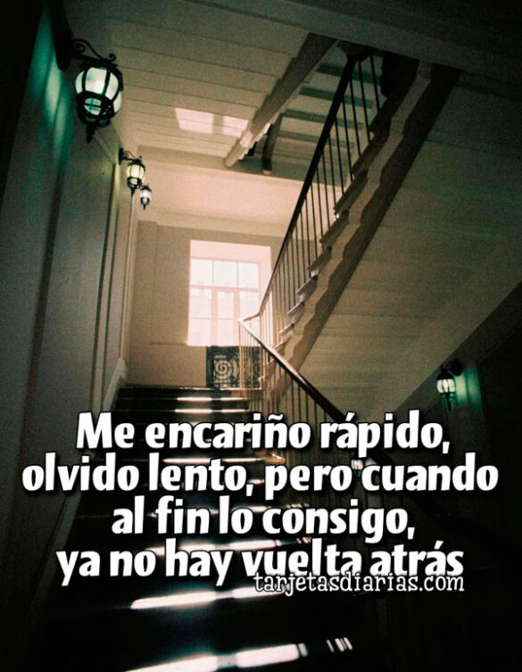 ME ENCARIÑO RÁPIDO, OLVIDO LENTO, PERO CUANDO AL FIN LO CONSIGO, YA NO HAY VUELTA ATRÁS