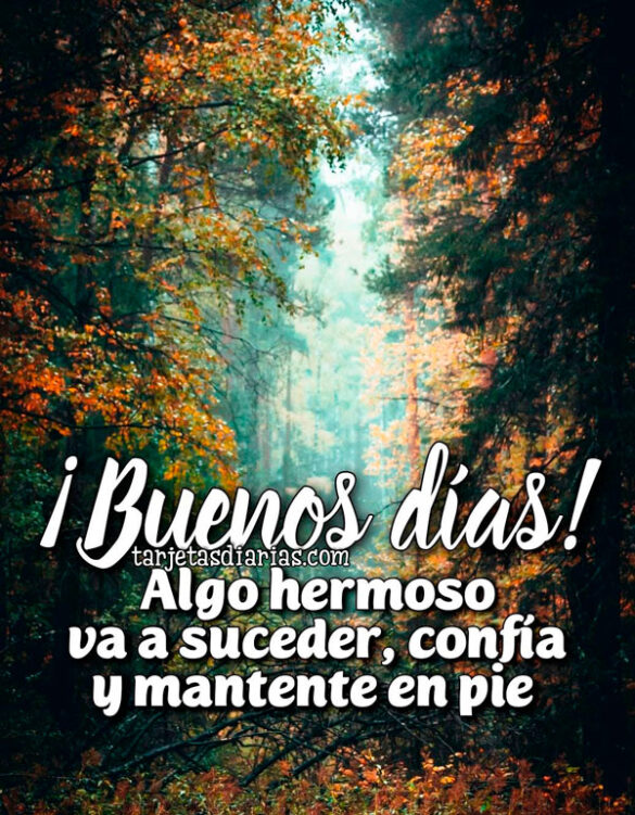 ¡BUENOS DÍAS! ALGO HERMOSO VA A SUCEDER, CONFÍA Y MANTENTE EN PIE