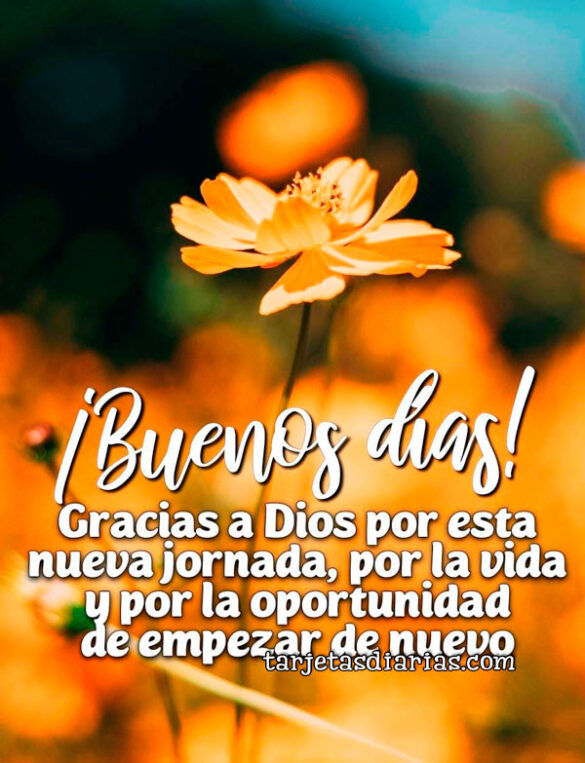 ¡BUENOS DÍAS! GRACIAS A DIOS POR ESTA NUEVA JORNADA, POR LA VIDA Y POR LA OPORTUNIDAD DE EMPEZAR DE NUEVO