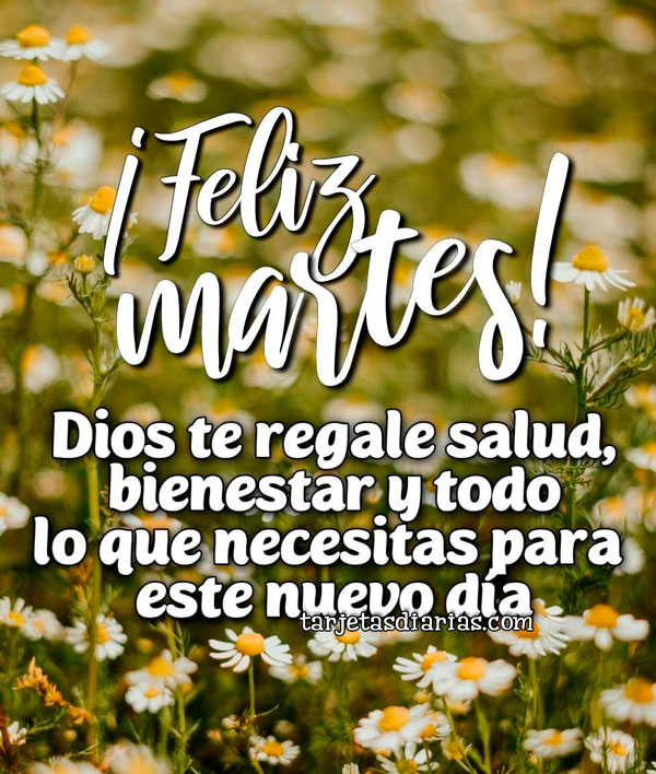 ¡FELIZ MARTES! DIOS TE REGALE SALUD, BIENESTAR Y TODO LO QUE NECESITAS ...