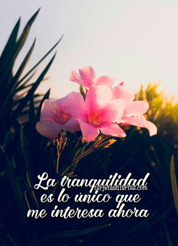 LA TRANQUILIDAD ES LO ÚNICO QUE ME INTERESA AHORA