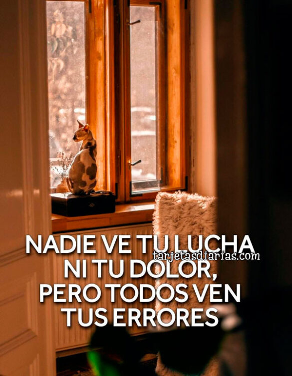 NADIE VE TU LUCHA NI TU DOLOR, PERO TODOS VEN TUS ERRORES