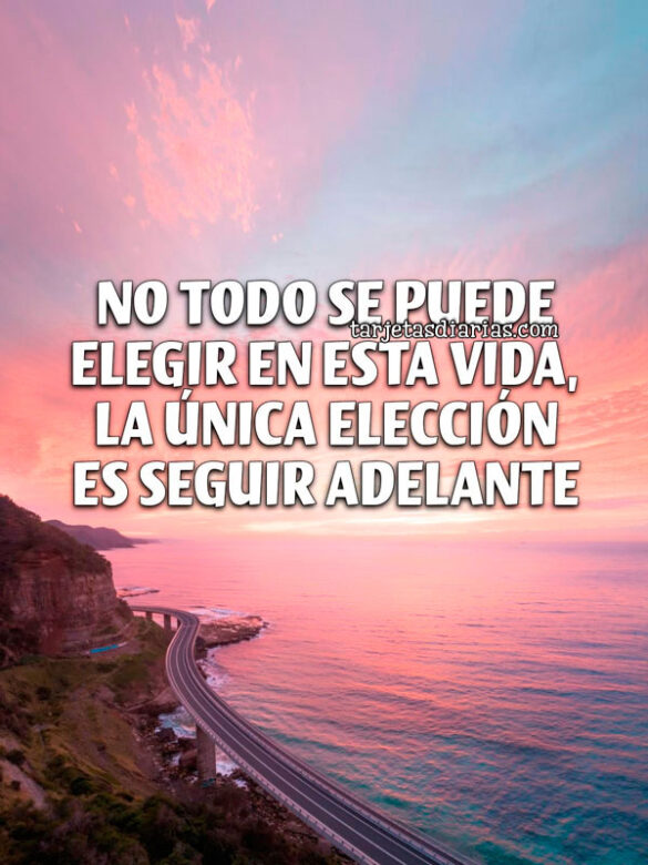 NO TODO SE PUEDE ELEGIR EN ESTA VIDA, LA ÚNICA ELECCIÓN ES SEGUIR ADELANTE