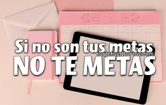 SI NO SON TUS METAS, NO TE METAS