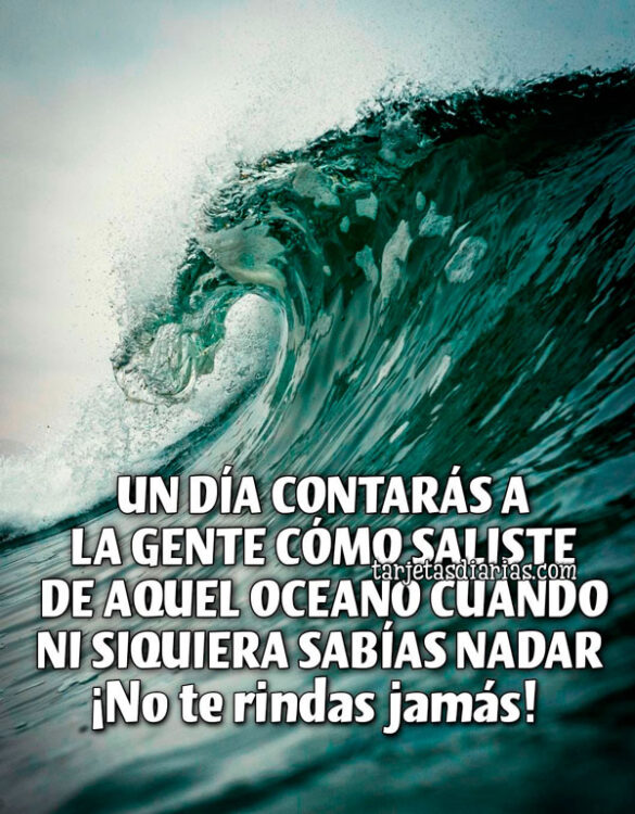 UN DÍA CONTARÁS A LA GENTE CÓMO SALISTE DE AQUEL OCEANO CUANDO NI SIQUIERA SABÍAS NADAR