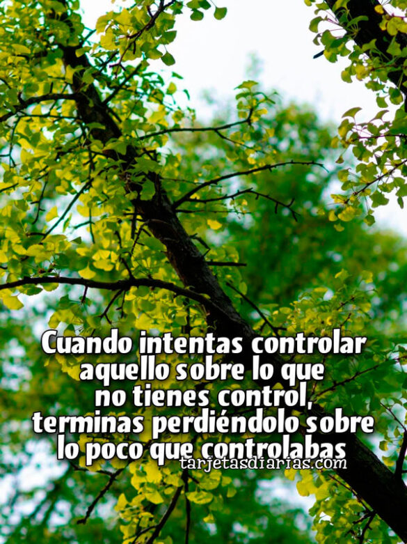 CUANDO-INTENTAS-CONTROLAR-AQUELLO-SOBRE-LO-QUE-NO-TIENES-CONTROL-TERMINÁS-PERDIÉNDOLO CUANDO INTENTAS CONTROLAR AQUELLO SOBRE LO QUE NO TIENES CONTROL, TERMINÁS PERDIÉNDOLO