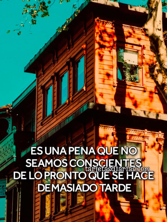 ES UNA PENA QUE NO SEAMOS CONSCIENTES DE LO PRONTO QUE SE HACE DEMASIADO TARDE