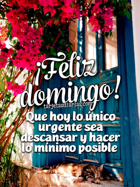 FELIZ-DOMINGO-QUE-HOY-LO-ÚNICO-URGENTE-SEA-DESCANSAR-Y-HACER-LO-MÍNIMO ¡FELIZ DOMINGO! QUE HOY LO ÚNICO URGENTE SEA DESCANSAR Y HACER LO MÍNIMO