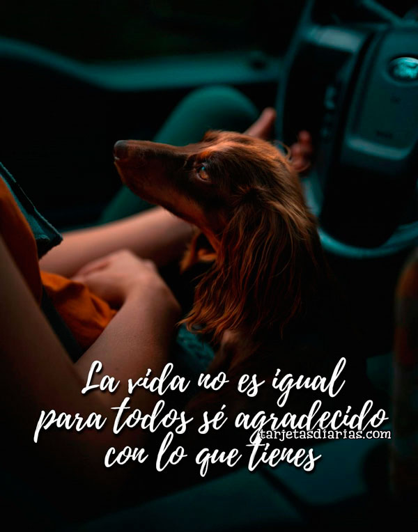 LA VIDA NO ES IGUAL PARA TODOS SÉ AGRADECIDO CON TODO LO QUE TIENES ...