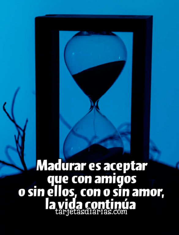 MADURAR-ES-ACEPTAR-QUE-CON-AMIGOS-O-SIN-ELLOS-CON-O-SIN-AMOR-LA-VIDA-CONTINÚA MADURAR ES ACEPTAR QUE CON AMIGOS O SIN ELLOS, CON O SIN AMOR, LA VIDA CONTINÚA