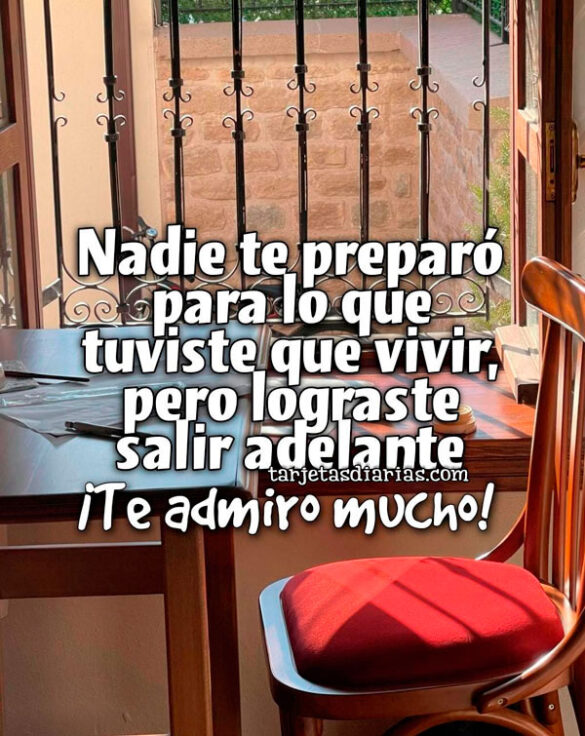 NADIE TE PREPARÓ PARA LO QUE TUVISTE QUE VIVIR, PERO LOGRASTE SALIR ADELANTE. ¡TE ADMIRO MUCHO!