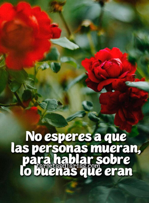 NO ESPERES A QUE LAS PERSONAS MUERAN PARA HABLAR SOBRE LO BUENAS QUE ERAN