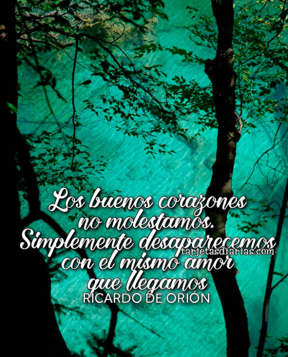 LOS BUENOS CORAZONES NO MOLESTAMOS. SIMPLEMENTE DESAPARECEMOS CON EL MISMO AMOR QUE LLEGAMOS