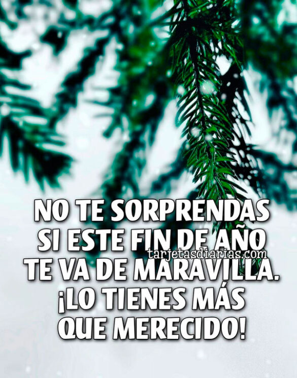 NO TE SORPRENDAS SI ESTE FIN DE AÑO TE VA DE MARAVILLA. ¡LO TIENES MÁS QUE MERECIDO!