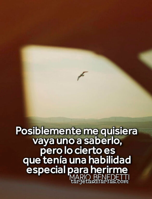 POSIBLEMENTE ME QUISIERA, VAYA UNO A SABERLO, PERO LO CIERTO ES QUE TENÍA UNA HABILIDAD ESPECIAL PARA HERIRME