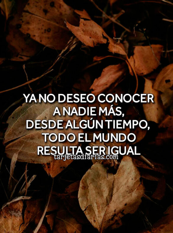 YA NO DESEO CONOCER A NADIE MÁS, DESDE ALGÚN TIEMPO, TODO EL MUNDO RESULTA SER IGUAL