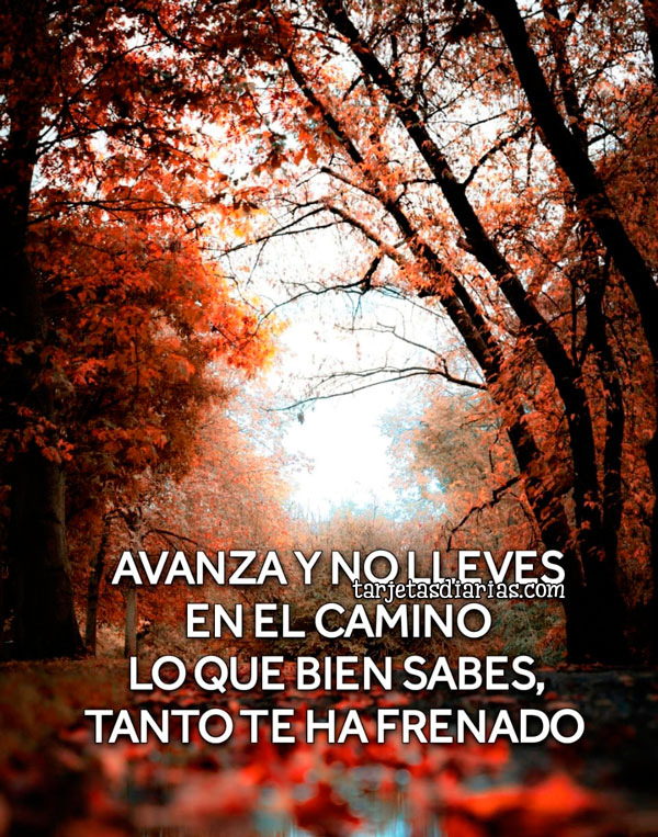 AVANZA Y NO LLEVES EN EL CAMINO LO QUE BIEN SABES, TANTO TE HA FRENADO ...