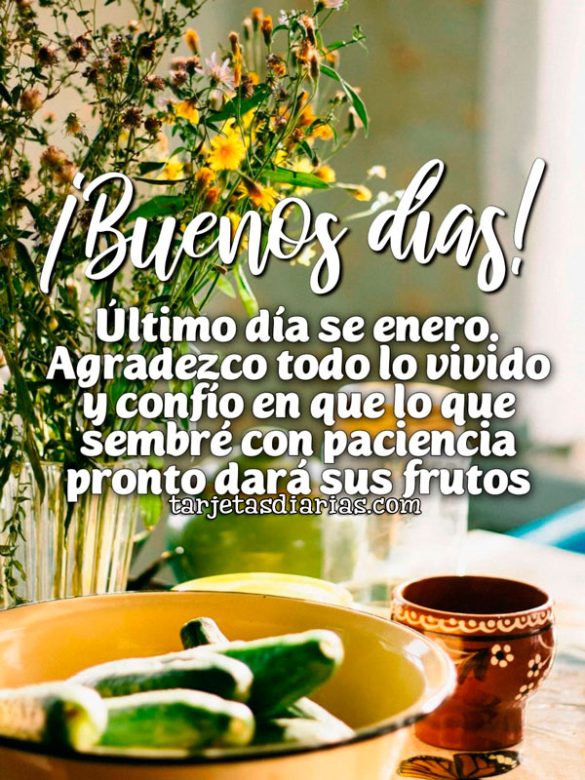 ¡BUENOS DÍAS! ÚLTIMO DÍA DE ENERO. AGRADEZCO TODO LO VIVIDO Y CONFÍO EN QUE LO QUE SEMBRÉ CON PACIENCIA PRONTO DARÁ FRUTOS