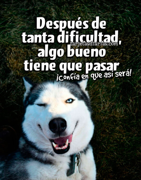 DESPUÉS DE TANTA DIFICULTAD, ALGO BUENO TIENE QUE PASAR. ¡CONFÍA EN QUE ASÍ SERÁ!