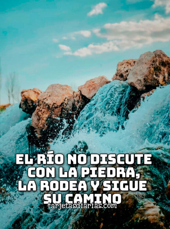 EL RÍO NO DISCUTE CON LA PIEDRA, LA RODEA Y SIGUE SU CAMINO