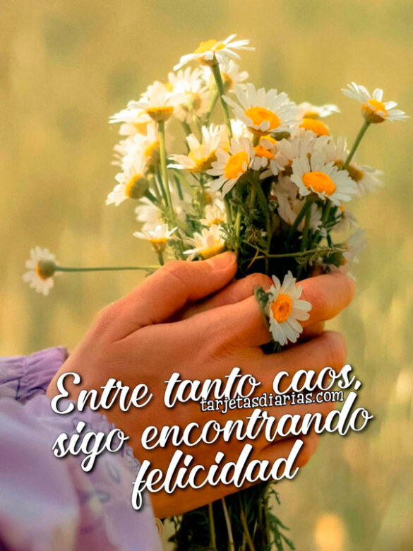ENTRE TANTO CAOS SIGO ENCONTRANDO FELICIDAD