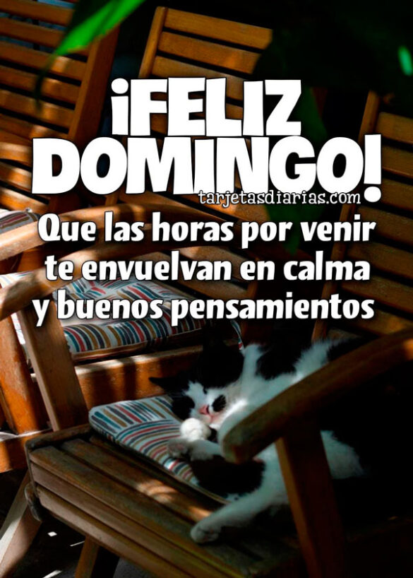 ¡FELIZ DOMINGO! QUE LAS HORAS POR VENIR TE ENVUELVAN EN CALMA Y BUENOS PENSAMIENTOS