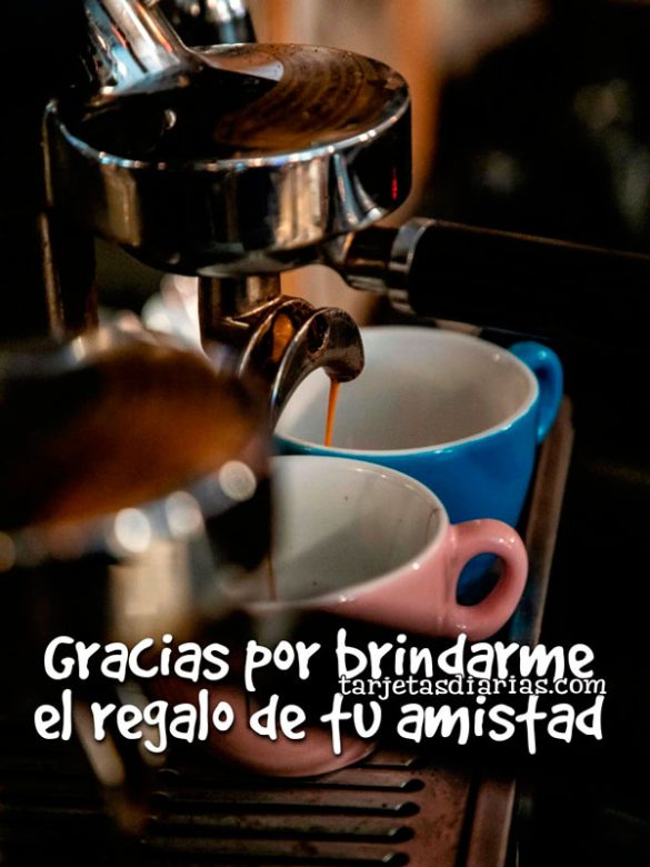 GRACIAS POR BRINDARME EL REGALO DE TU AMISTAD