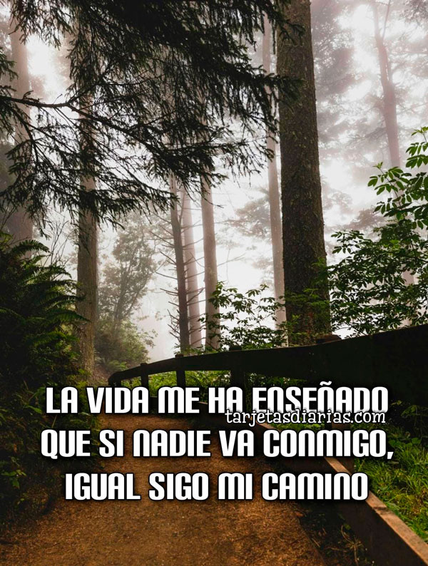 LA VIDA ME HA ENSEÑADO QUE SI NADIE VA CONMIGO, IGUAL SIGO MI CAMINO ...