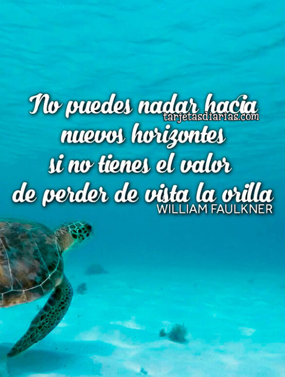 NO PUEDES NADAR HACIA NUEVOS HORIZONTES SI NO TIENES EL VALOR DE PERDER DE VISTA LA ORILLA