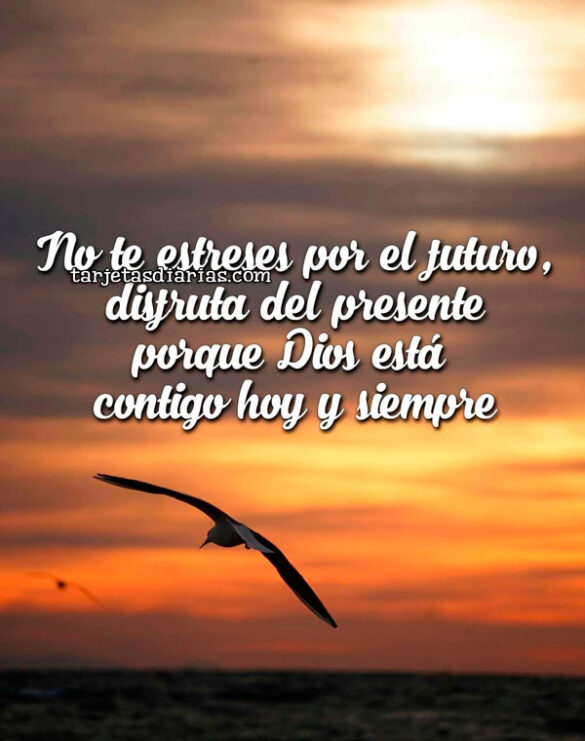 NO TE ESTRESES POR EL FUTURO, DISFRUTA DEL PRESENTE PORQUE DIOS ESTÁ CONTIGO HOY Y SIEMPRE