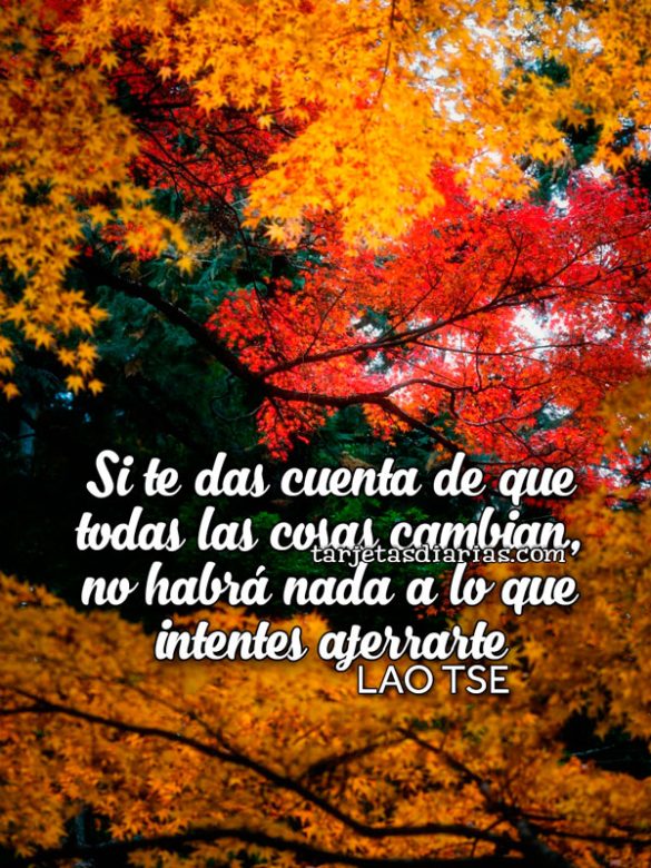 SI TE DAS CUENTA DE QUE TODAS LAS COSAS CAMBIAN, NO HABRÁ NADA A LO QUE INTENTES AFERRARTE