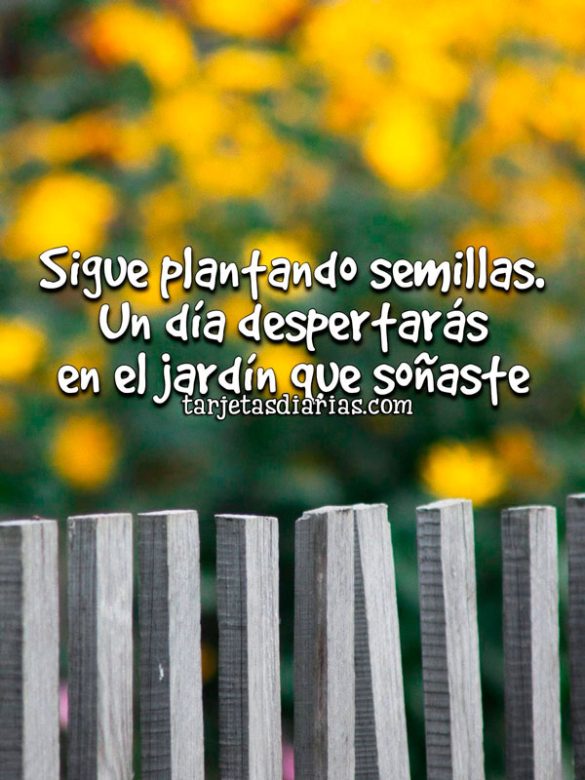 SIGUE PLANTANDO SEMILLAS, UN DÍA DESPERTARÁS EN EL JARDÍN QUE SOÑASTE