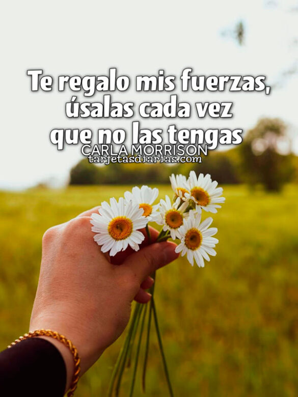 TE REGALO MIS FUERZAS, ÚSALAS CADA VEZ QUE NO LAS TENGAS