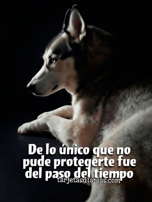 DE LO ÚNICO QUE NO PUDE PROTEGERTE FUE DEL PASO DEL TIEMPO