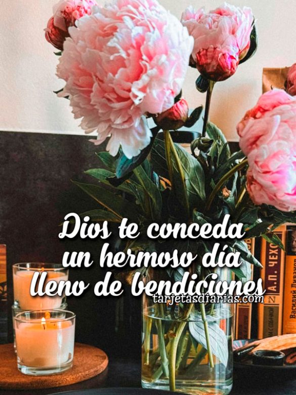 DIOS TE CONCEDA UN HERMOSO DÍA LLENO DE BENDICIONES
