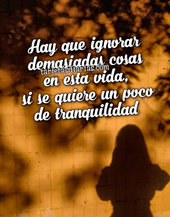 HAY QUE IGNORAR DEMASIADAS COSAS EN ESTA VIDA SI SE QUIERE UN POCO DE TRANQUILIDAD