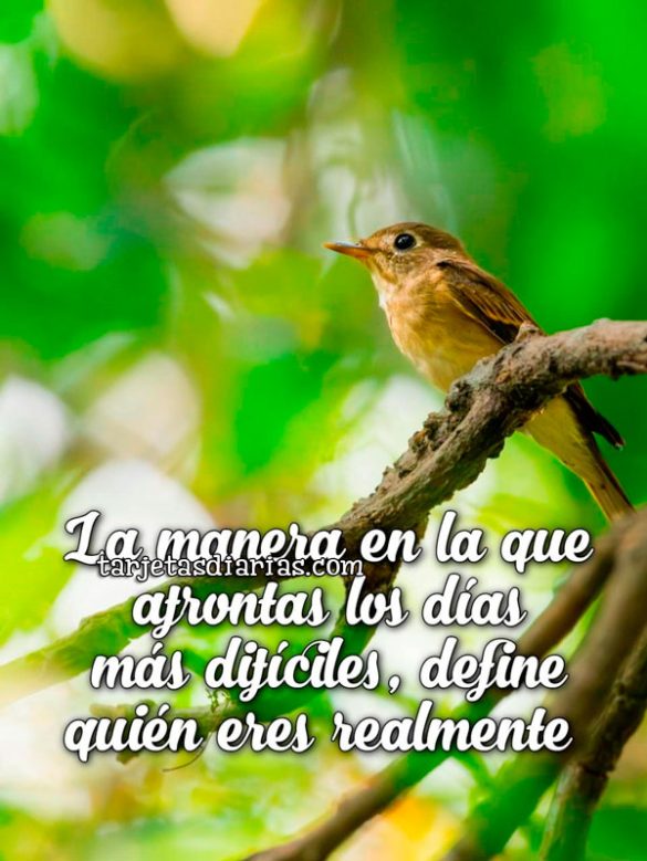 LA MANERA EN LA QUE AFRONTAS LOS DÍAS DIFÍCILES, DEFINE QUIÉN ERES REALMENTE